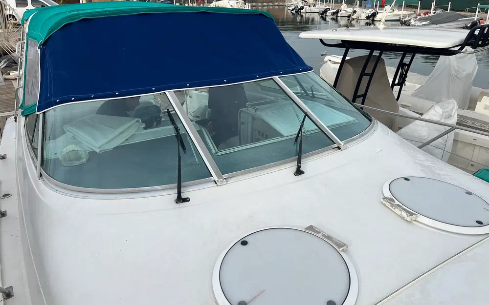 slider 16 Chris Craft Crowne 302