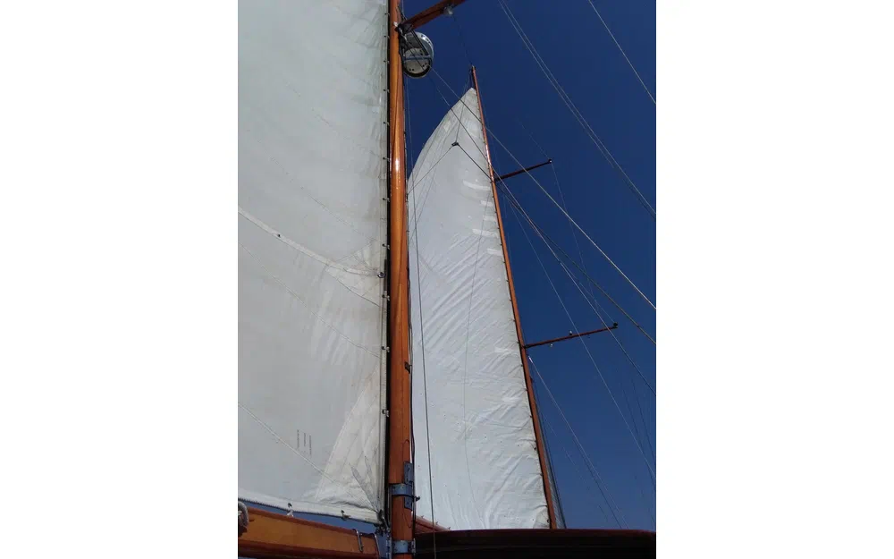 slider 16 Custom BRUMA YCA