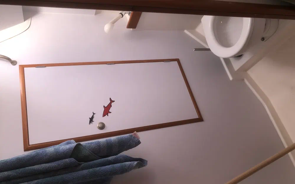 slider 10 Jeanneau Sun Odyssey 36.2