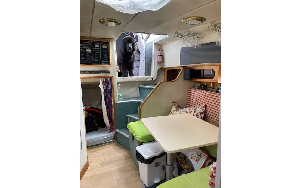 slider 2 Kelt Ocean 1010