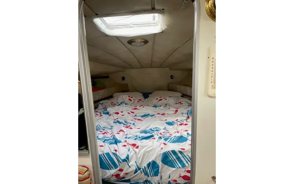 slider 15 Kelt Ocean 1010