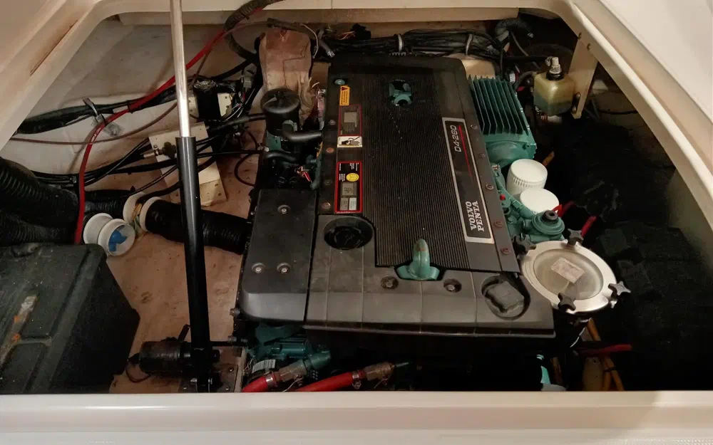 slider 14 Chaparral Signature 250