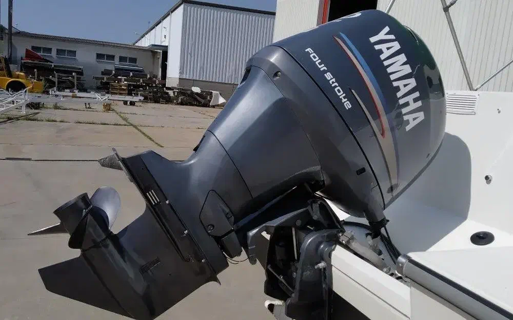 slider 6 Ocqueteau Olympio 630