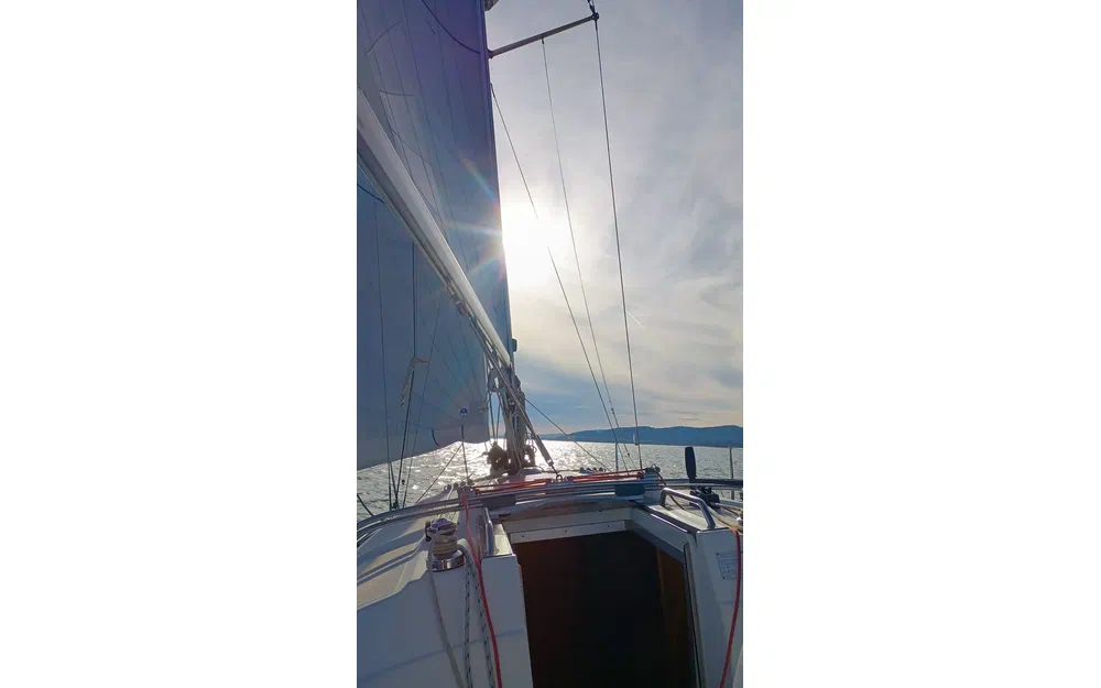 slider 59 Bavaria 33 Cruiser