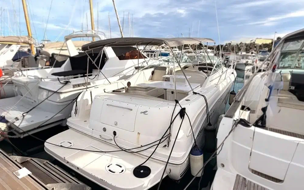 slider 0 Sea Ray Amberjack 290