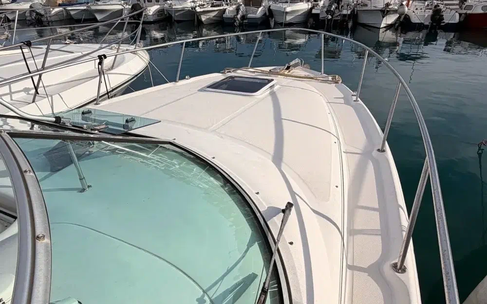 slider 10 Sea Ray Amberjack 290