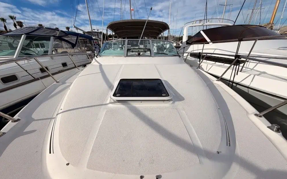 slider 13 Sea Ray Amberjack 290