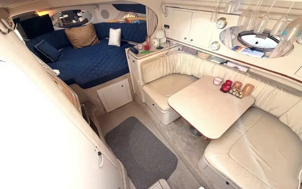 slider 16 Sea Ray Amberjack 290