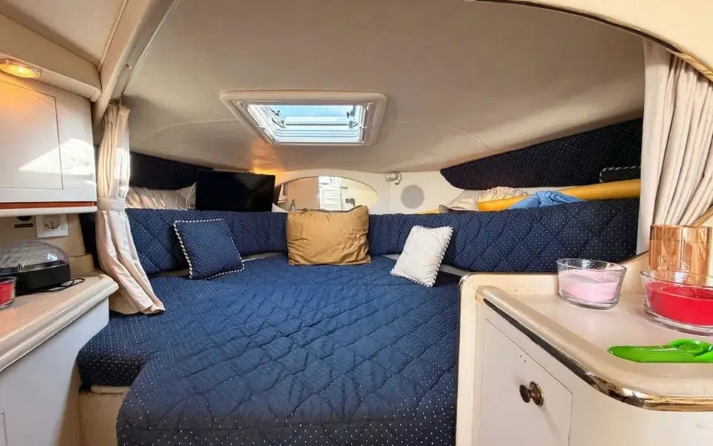 slider 17 Sea Ray Amberjack 290