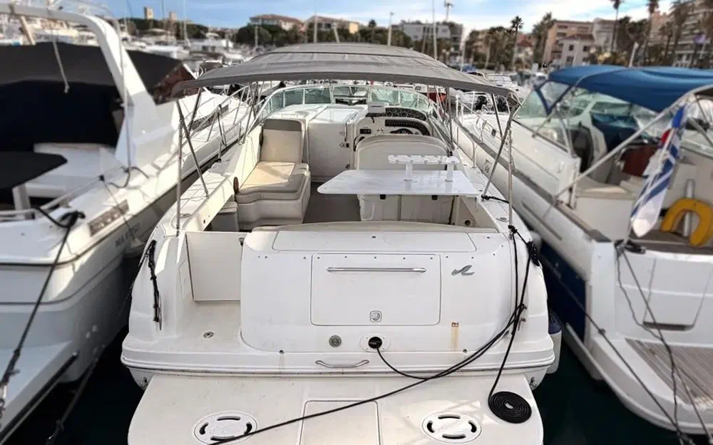 slider 1 Sea Ray Amberjack 290