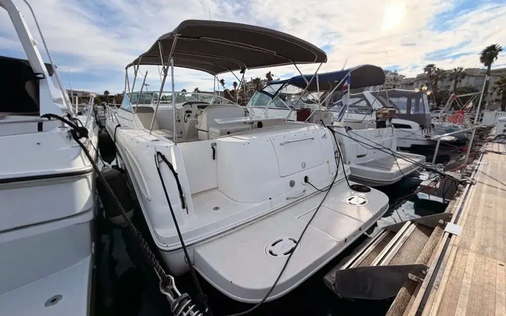 slider 2 Sea Ray Amberjack 290