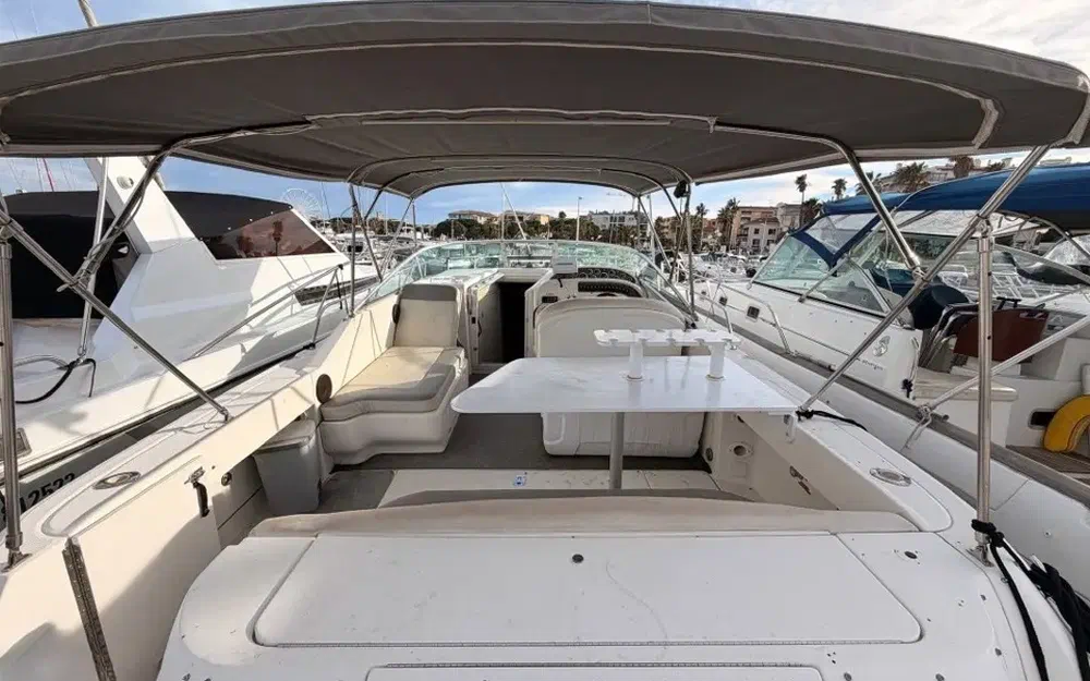 slider 3 Sea Ray Amberjack 290