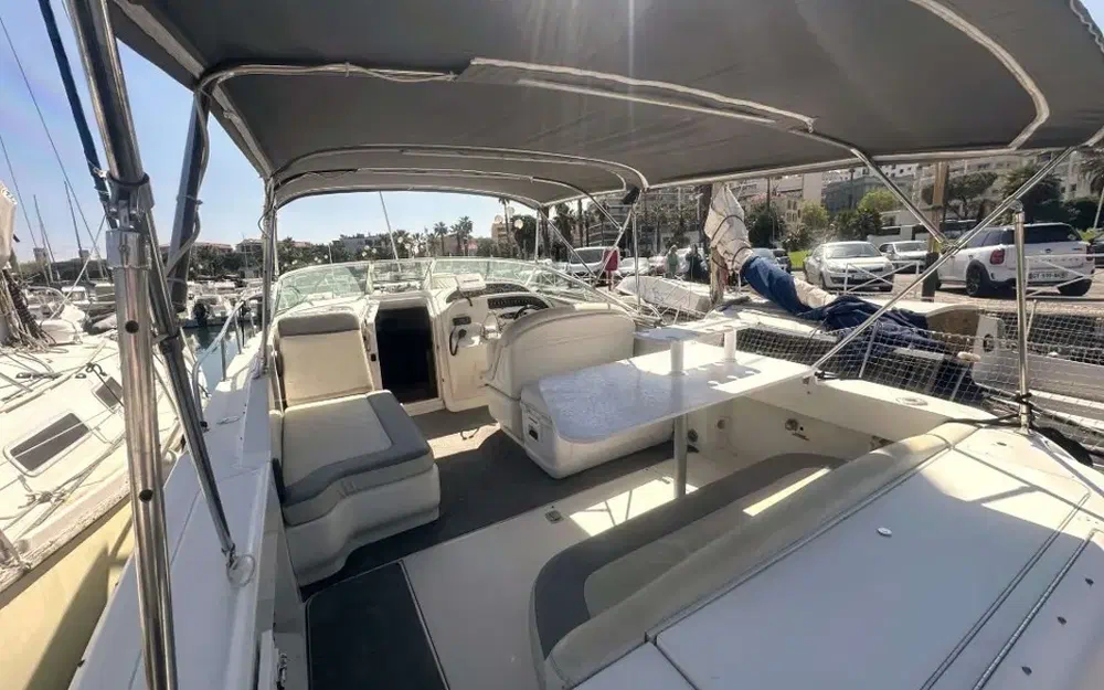 slider 4 Sea Ray Amberjack 290