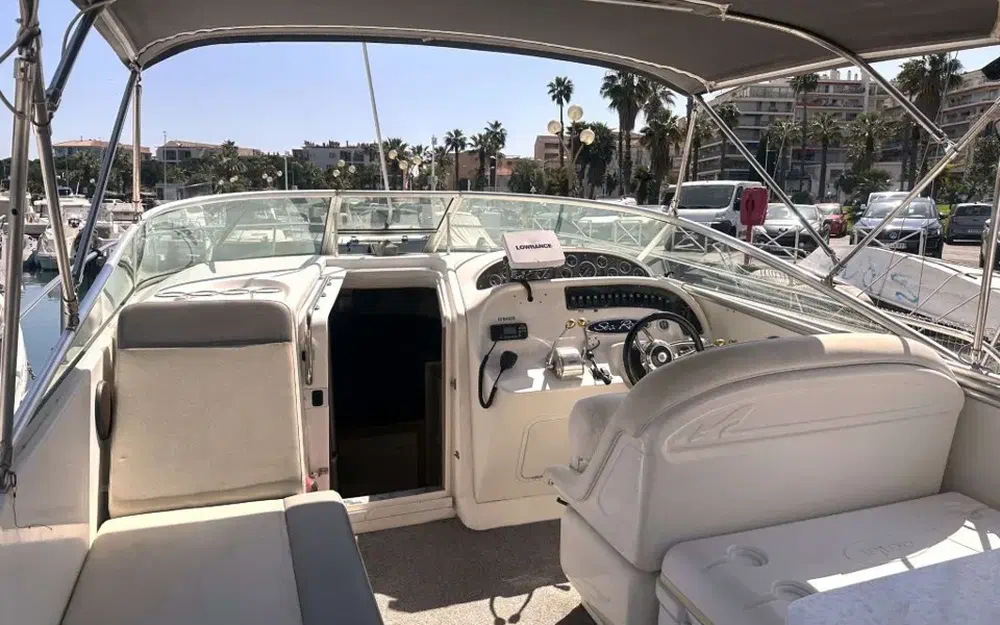 slider 5 Sea Ray Amberjack 290