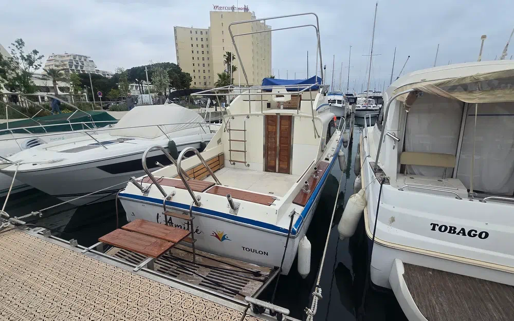 slider 1 Seabird Condor 29