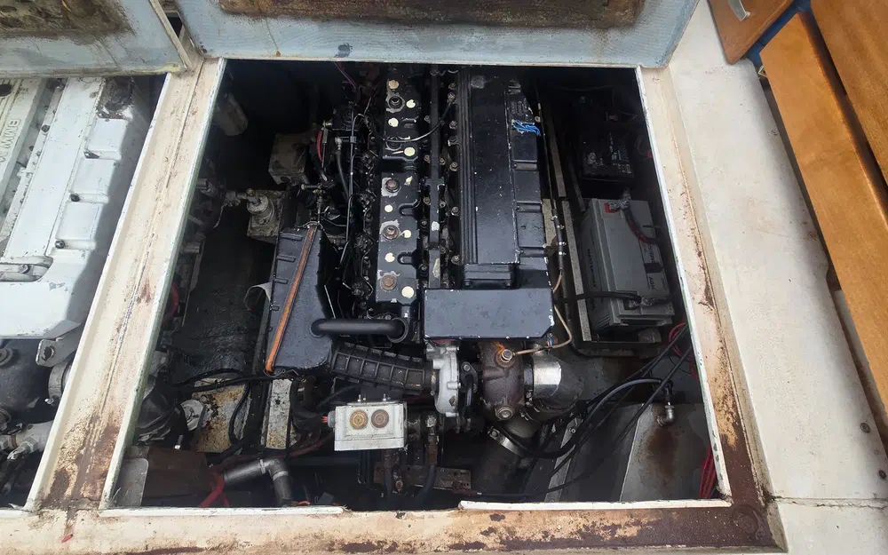 slider 14 Seabird Condor 29