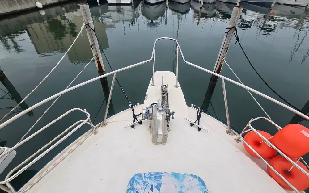 slider 18 Seabird Condor 29