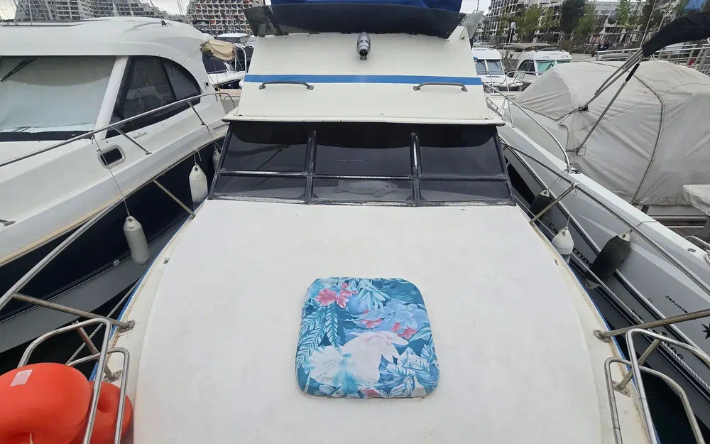 slider 19 Seabird Condor 29