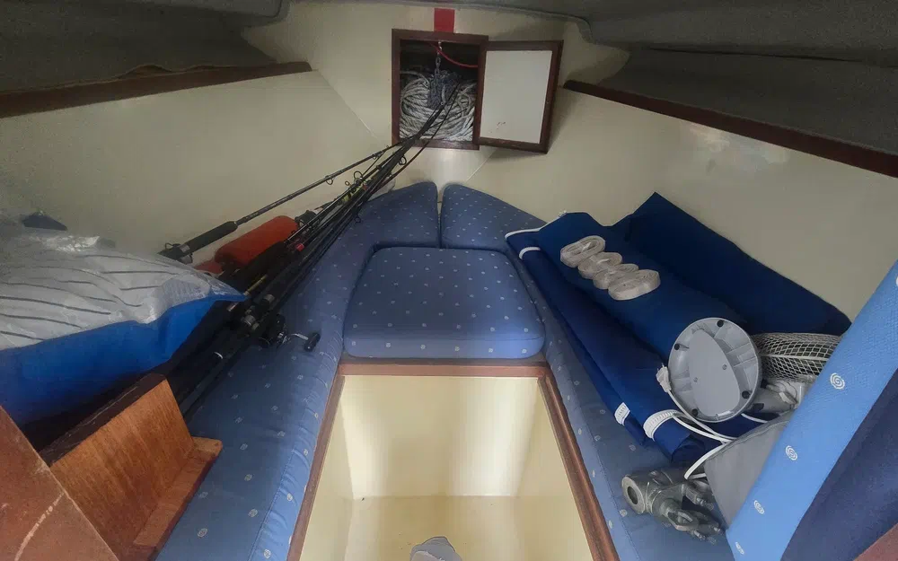 slider 9 Seabird Condor 29