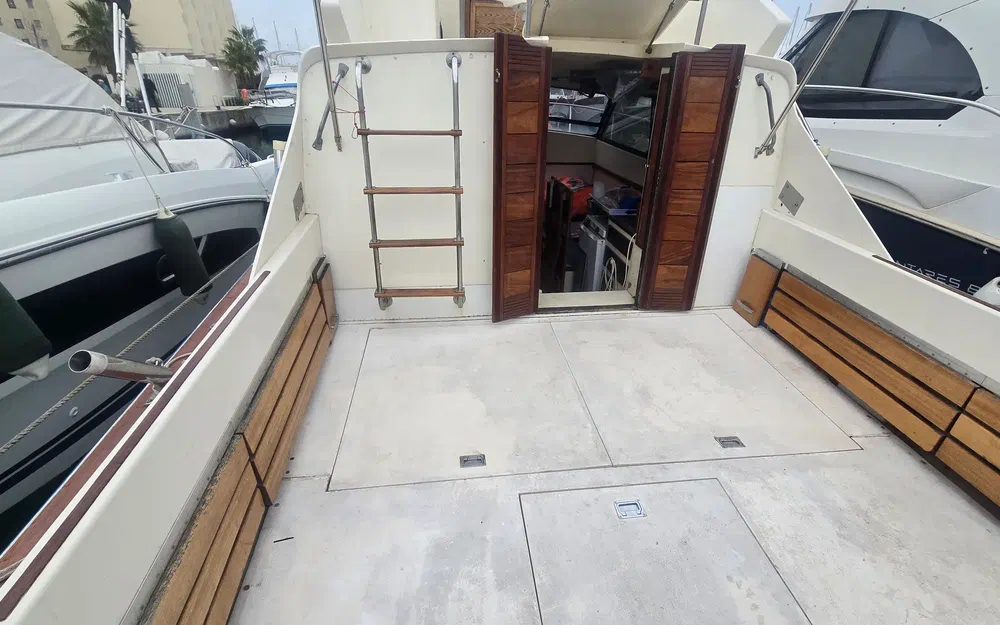 slider 6 Seabird Condor 29