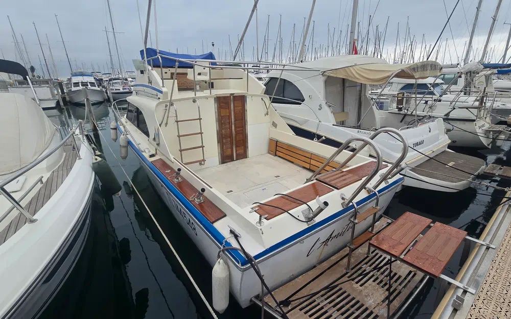 slider 0 Seabird Condor 29