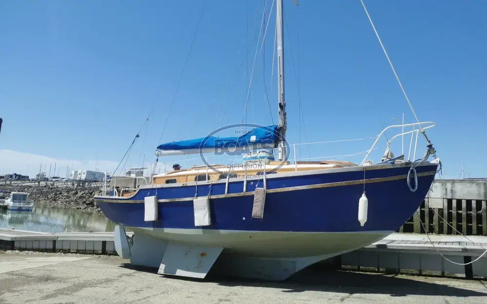 slider 3 Golden Hind 31