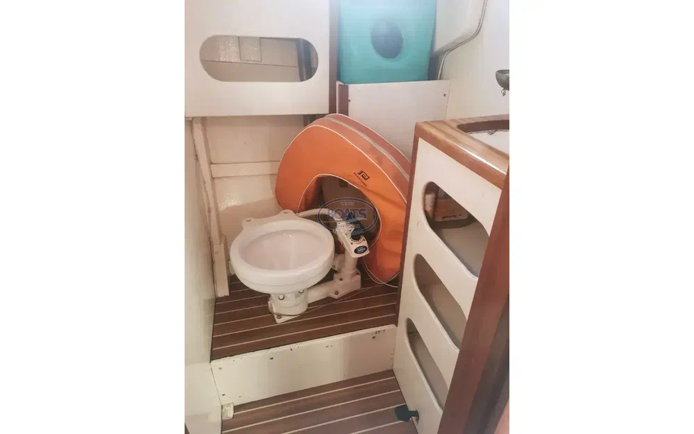 slider 6 Golden Hind 31