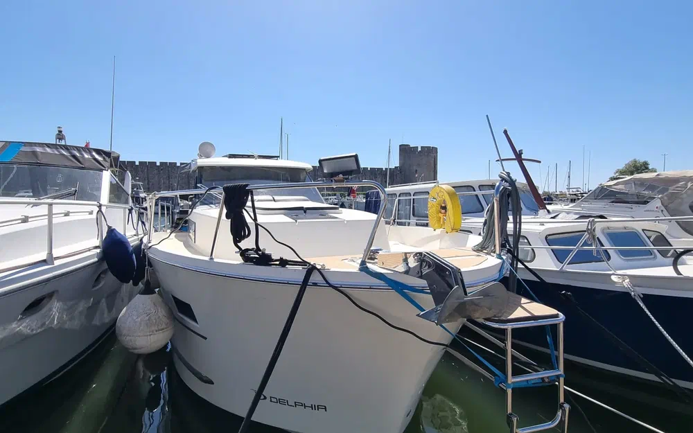 slider 30 Delphia 1080 Soley