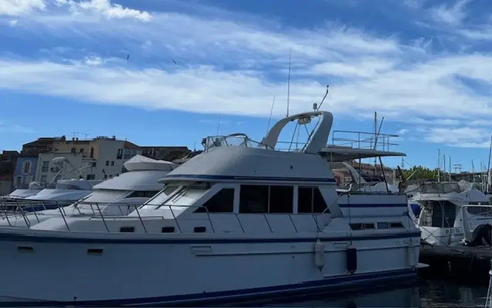 slider 3 Hershine 452