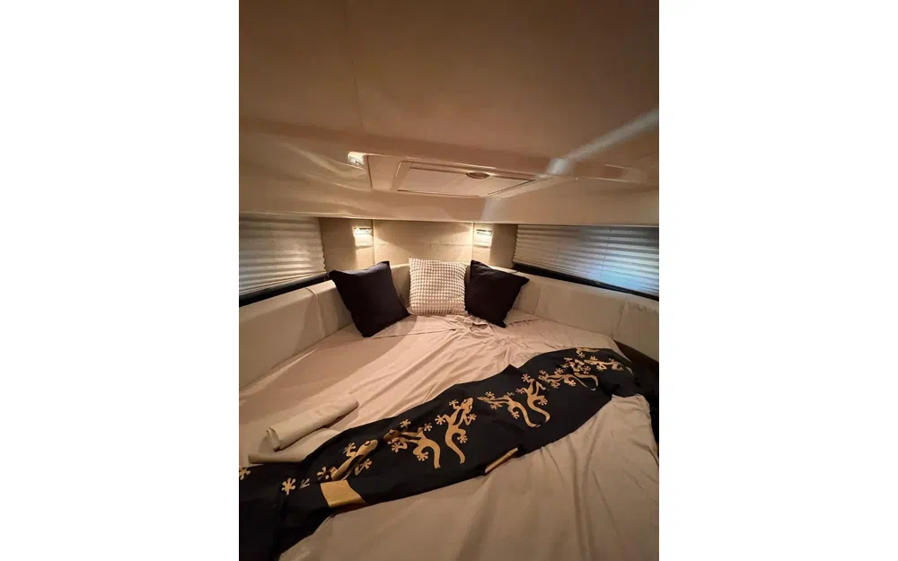 slider 17 Cranchi Zaffiro 36