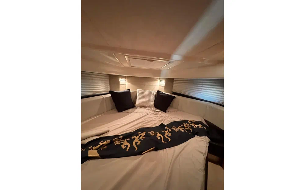 slider 18 Cranchi Zaffiro 36