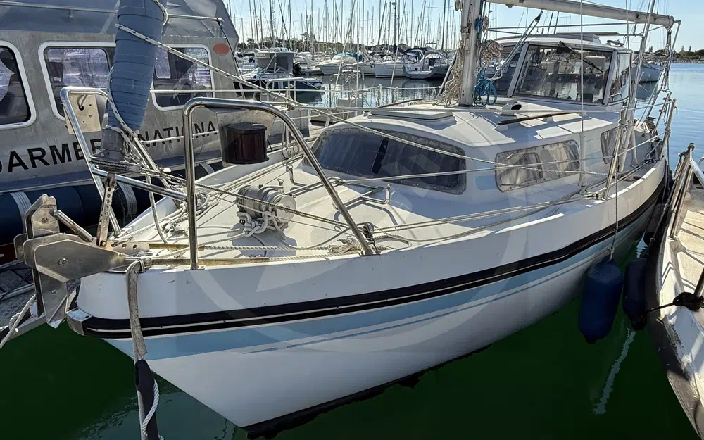 slider 1 Kirie Fifty 27