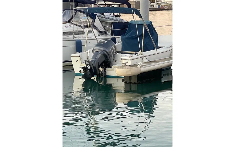 slider 3 White Shark 225