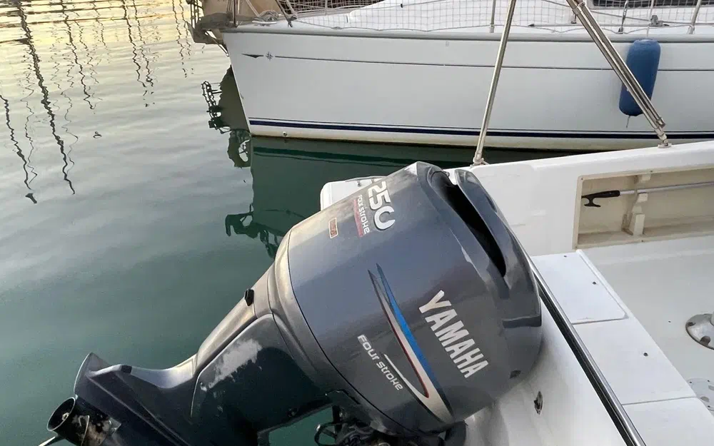 slider 1 White Shark 225