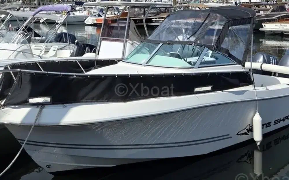slider 0 Kelt White Shark 236