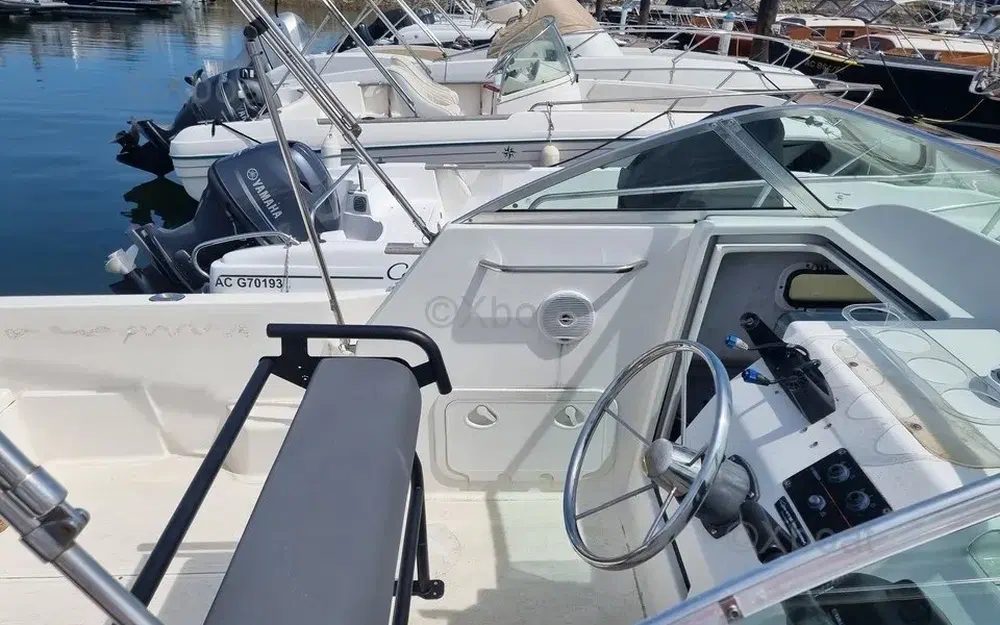 slider 9 Kelt White Shark 236