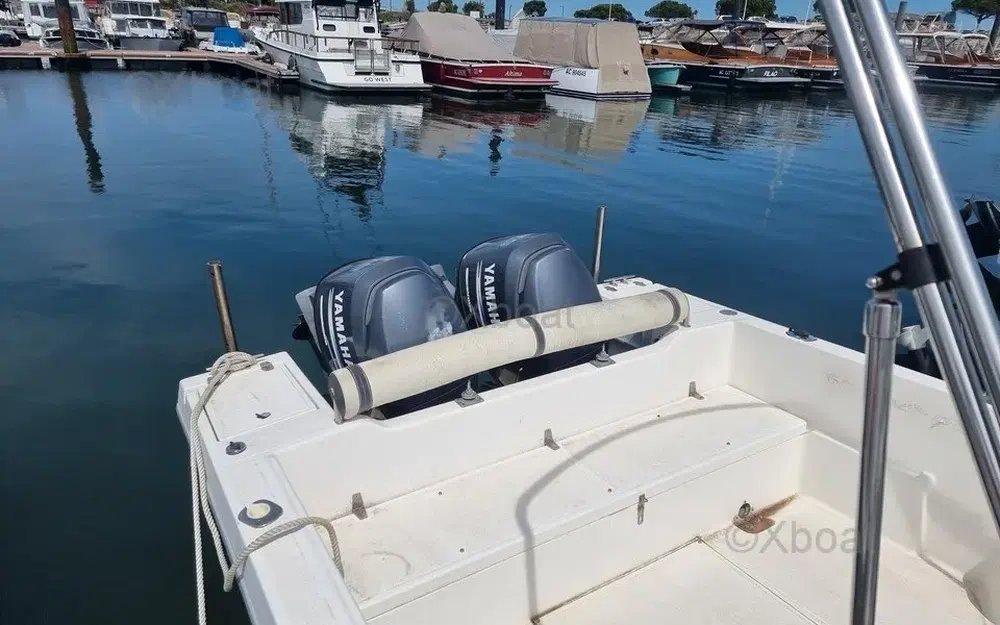 slider 10 Kelt White Shark 236