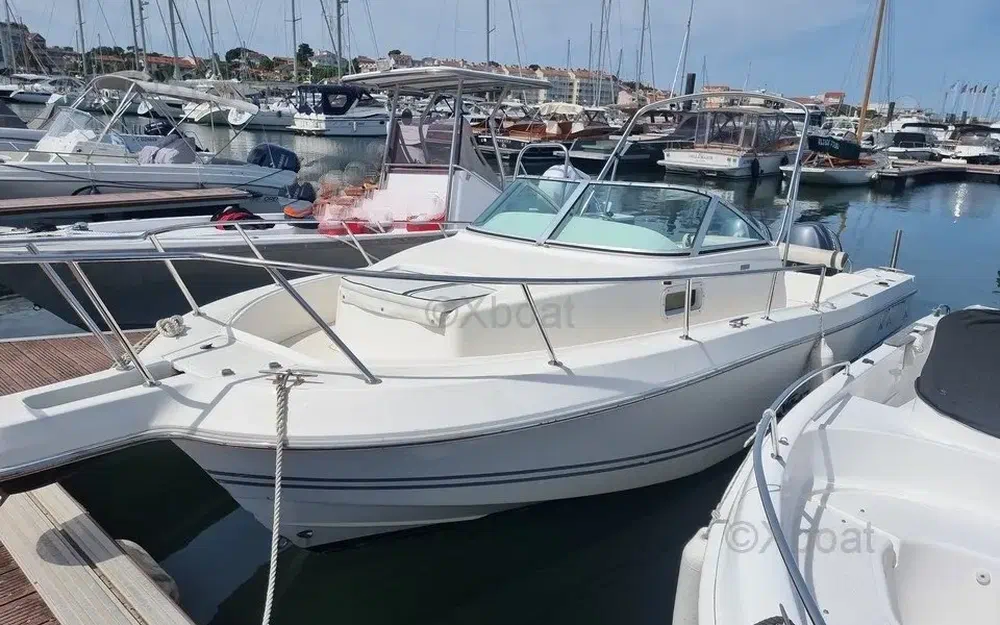 slider 1 Kelt White Shark 236