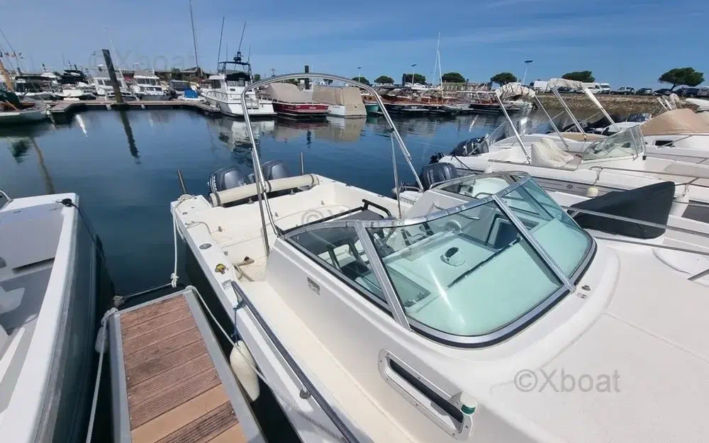 slider 3 Kelt White Shark 236