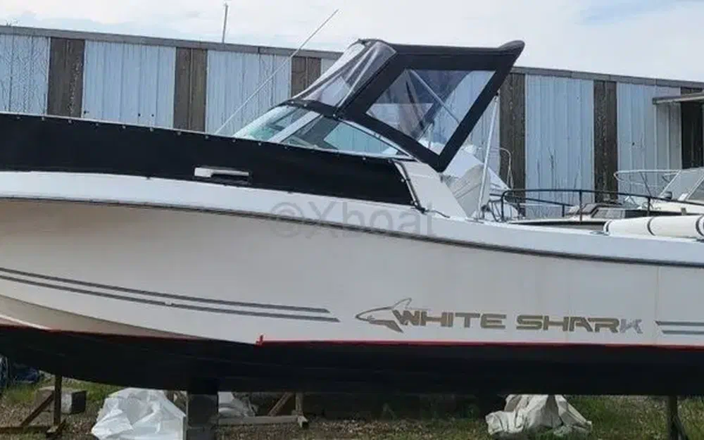 slider 5 Kelt White Shark 236