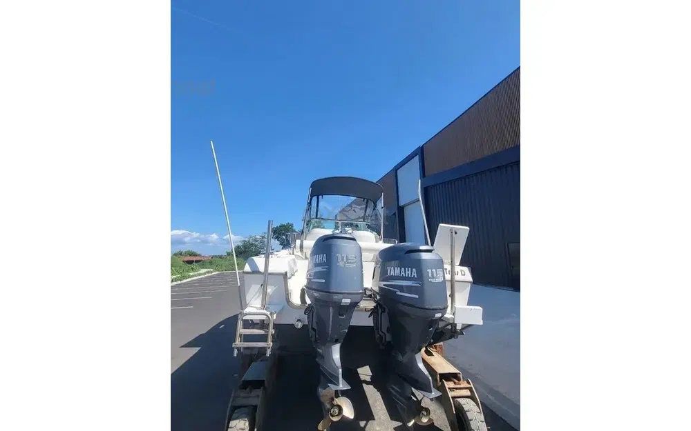 slider 6 Kelt White Shark 236