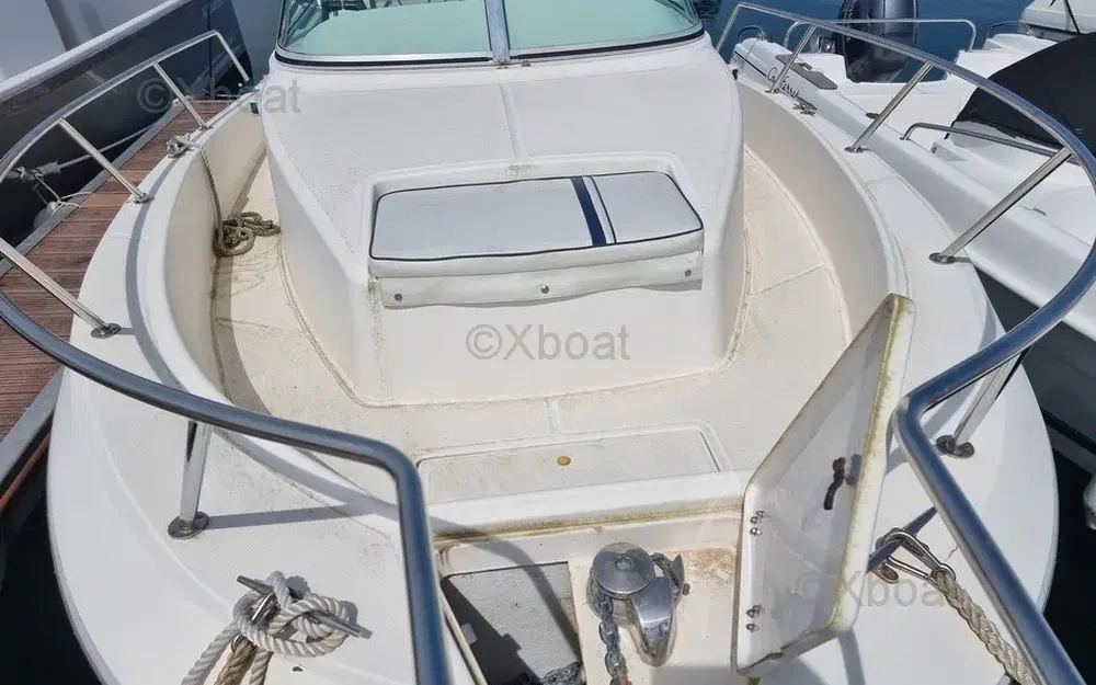 slider 7 Kelt White Shark 236
