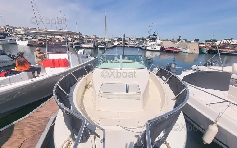 slider 8 Kelt White Shark 236