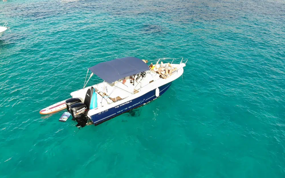 slider 0 White Shark 268
