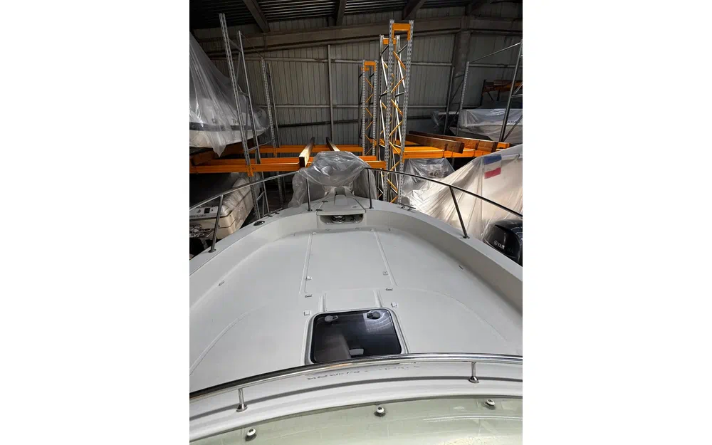 slider 9 White Shark 268