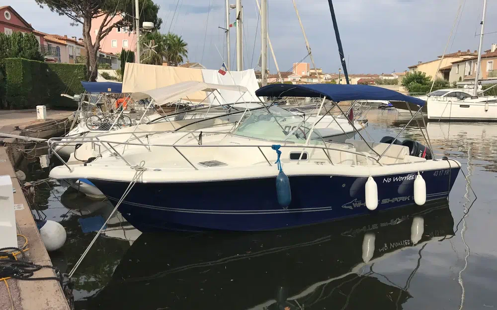 slider 1 White Shark 268