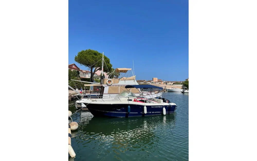 slider 3 White Shark 268