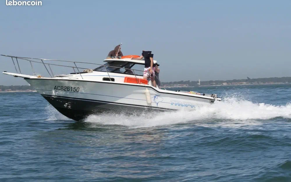 slider 0 Bayliner Trophy 2352 Walkaround 2001