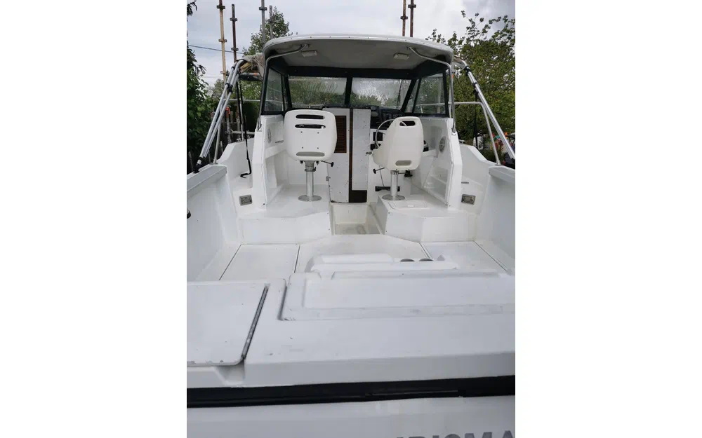 slider 2 Bayliner Trophy 2352 Walkaround 2001