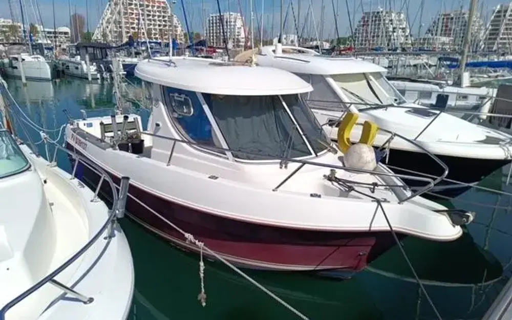 ArvorArvor 230